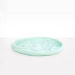 Dinosaur Designs Rock Tray in Mint color resin