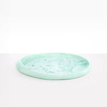 Dinosaur Designs Rock Tray in Mint Colour resin.