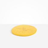 Dinosaur Designs PLRTEMCHE temple cheese platter POLLEN ..