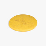 Dinosaur Designs PLRTEMCHE temple cheese platter POLLEN 