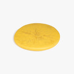 Dinosaur Designs PLRTEMCHE temple cheese platter POLLEN ..