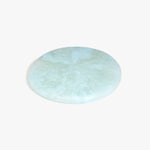 Dinosaur Designs PLRTEMCHE temple cheese platter POOL 