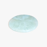 Dinosaur Designs PLRTEMCHE temple cheese platter POOL 