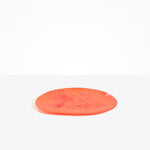 Dinosaur Designs Large Temple Platter in Lychee color resin