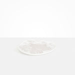 Dinosaur Designs Pebble Plate in Snow Swirl Colour resin.