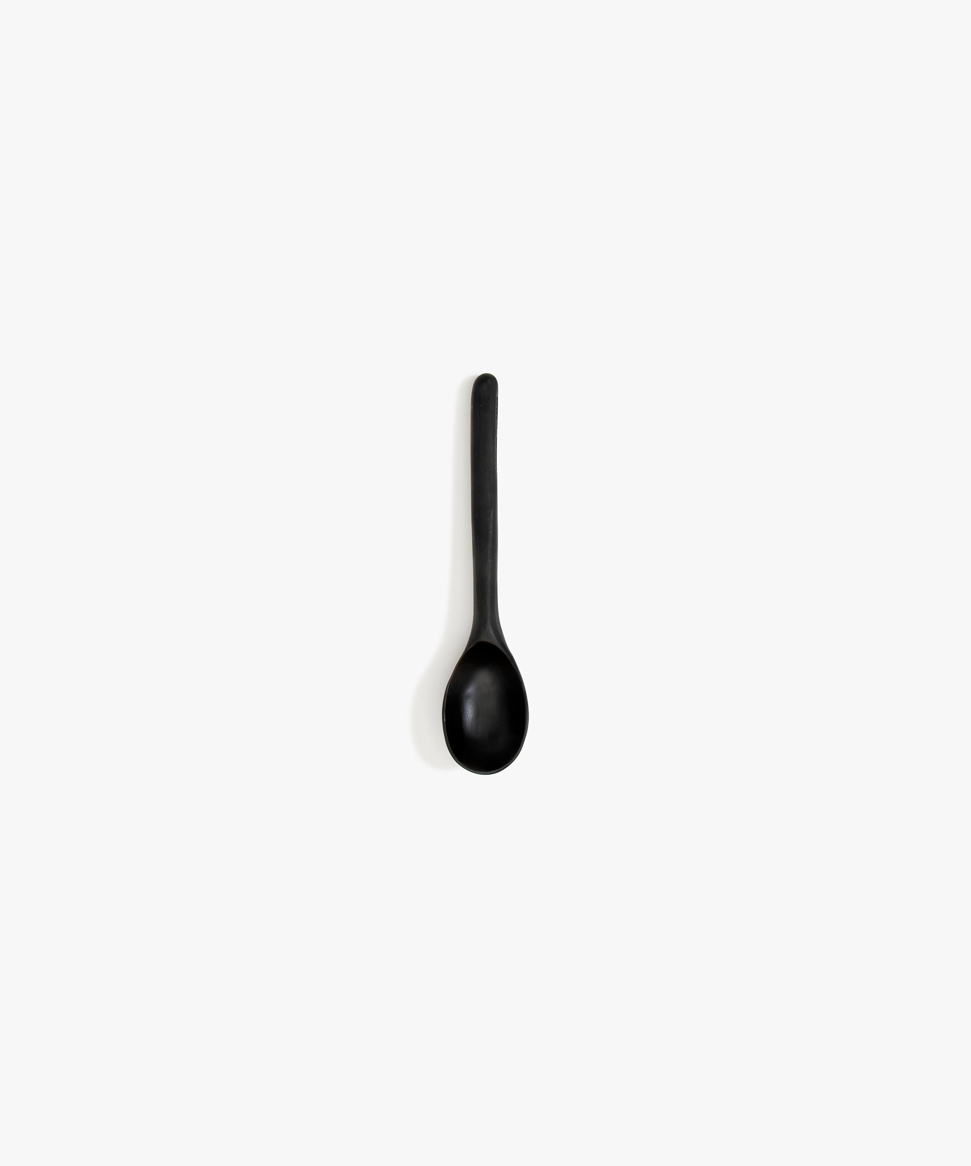 Dinosaur Designs Stone Spoon in Black Colour resin..