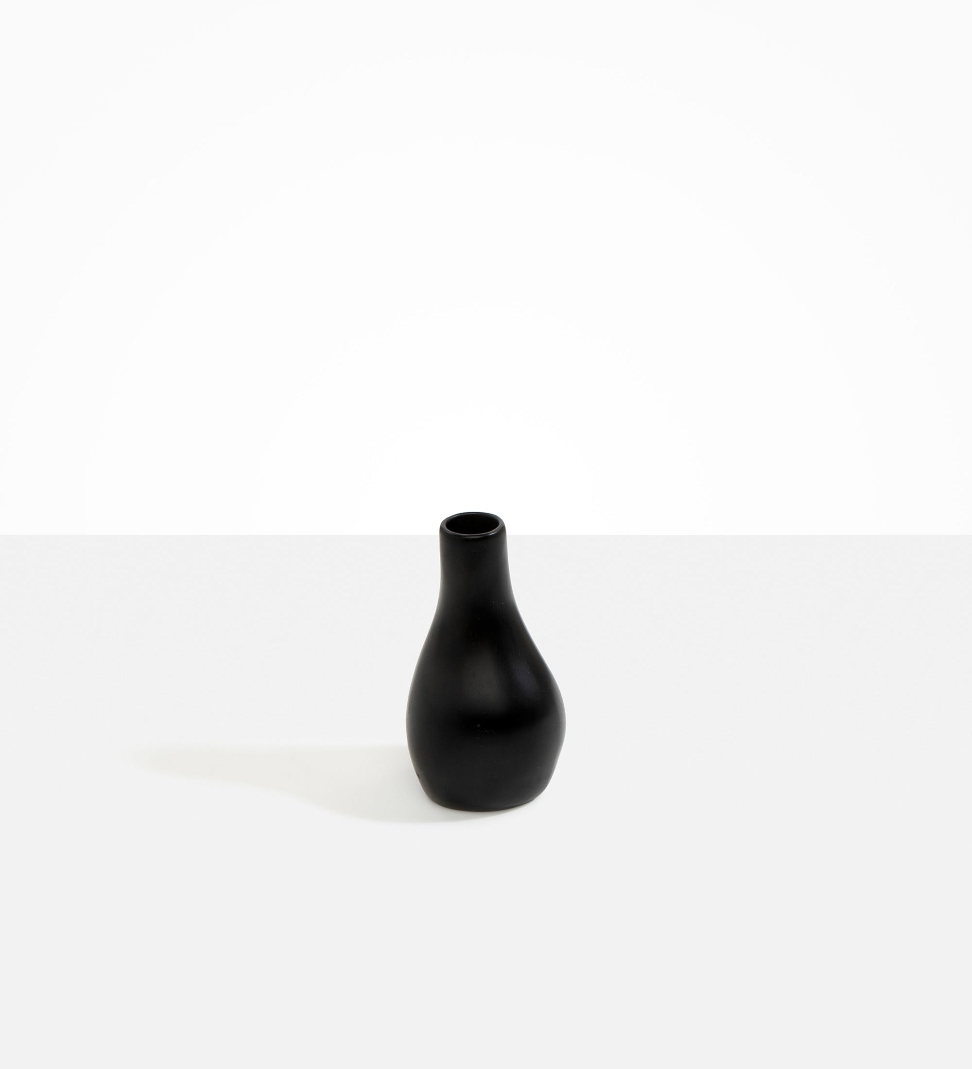 Dinosaur Designs Medium Liquid Vase Vases in Black color resin