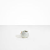 Dinosaur Designs Small Moss Vase Vases in Cappuccino color resin