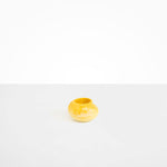 Dinosaur Designs Small Moss Vase in Daisy Colour resin