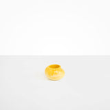 Dinosaur Designs Small Moss Vase in Daisy Colour resin