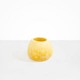 Dinosaur Designs Volcanic Vase in Daisy Colour resin..