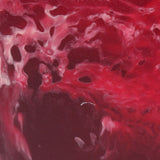  Raspberry
