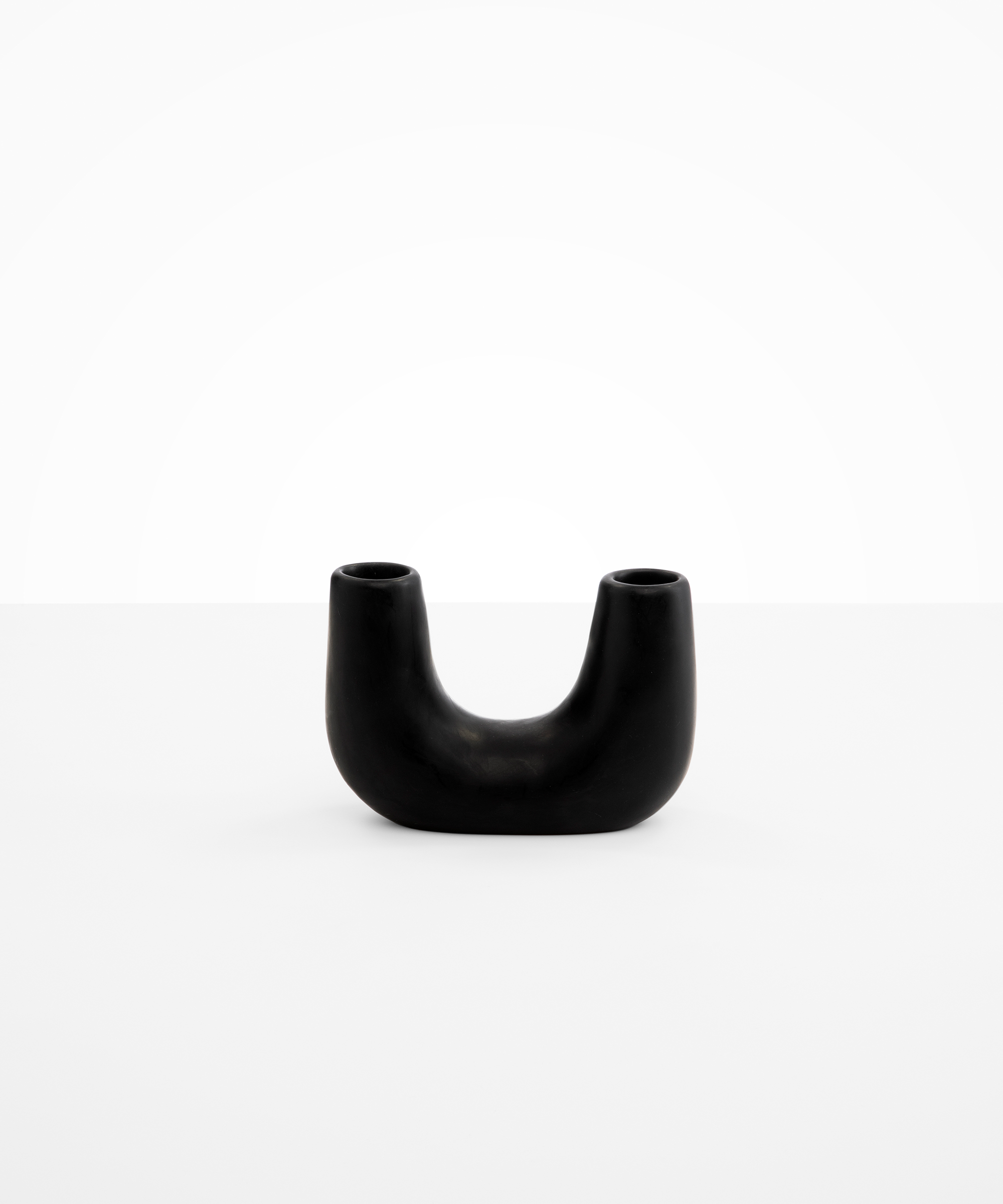 Dinosaur Designs Small Branch Vase Vases in Black color resin